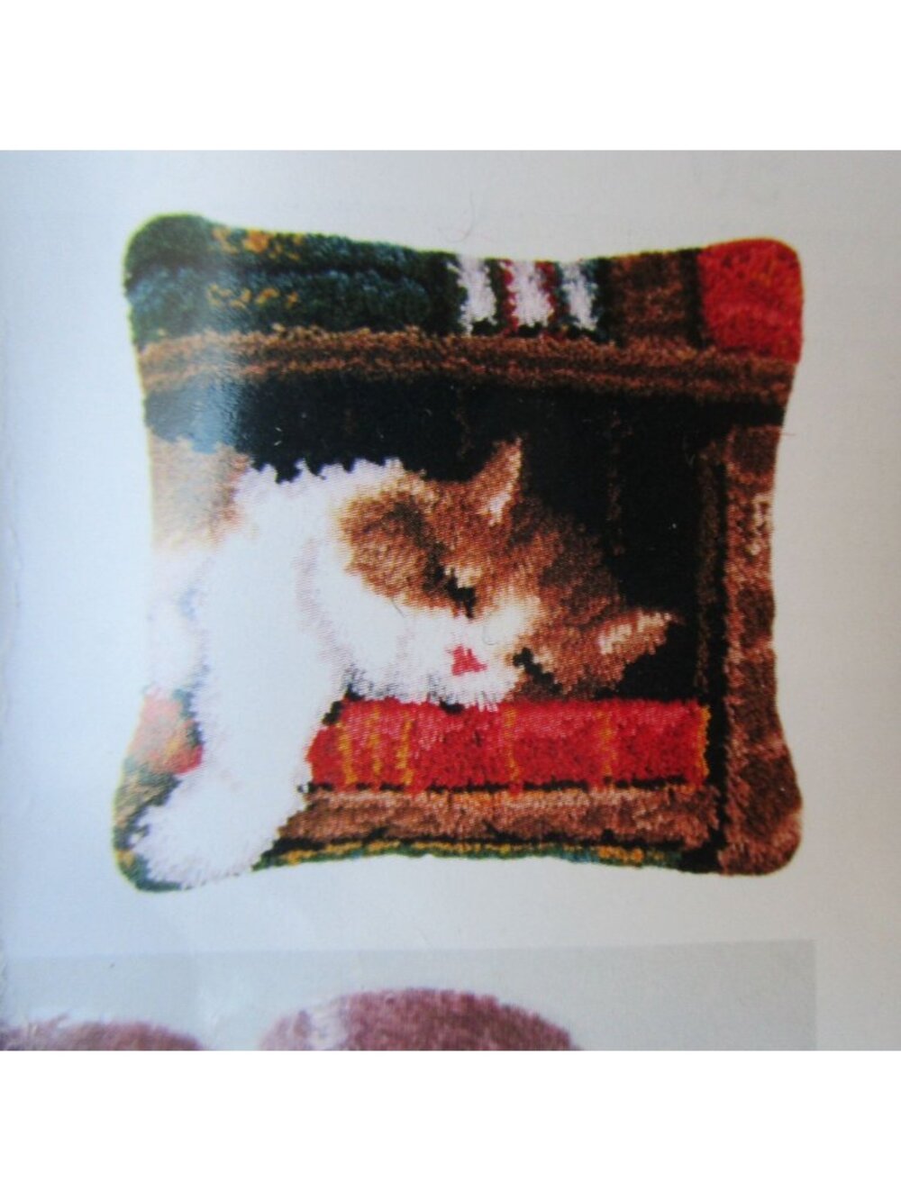 DIY Latch Hook Pillow Kit Sleeping Library Book Cat Easy Instructions For Beginn